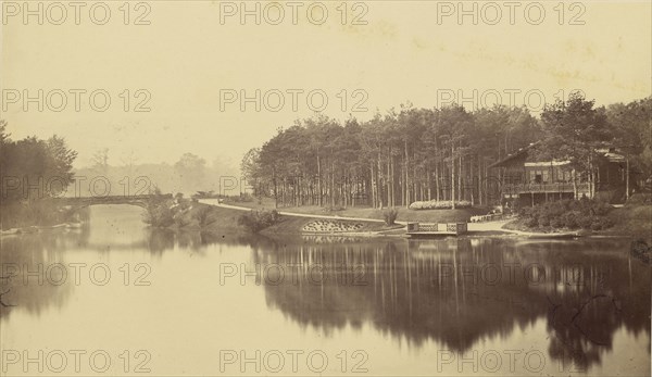 Bois de Boulogne, Paris; Charles Marville, French, 1813 - 1879, Paris, France; negative 1855 - 1870; print after 1870; Albumen