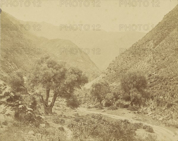 Vallée de l'Oued-el-Kabir, Algerie; Charles Marville, French, 1813 - 1879, Algeria; 1852; Salted paper print; 24.6 x 31.1 cm