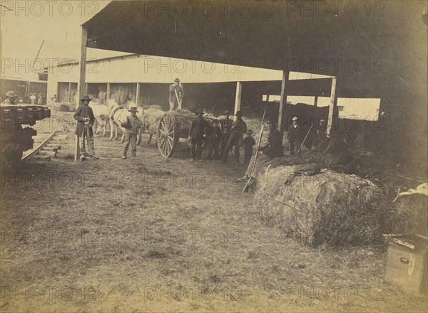 Hay Wharf, Alexandria, Va; A.J. Russell, American, 1830 - 1902, Alexandria, Virginia, United States; April 1863; Albumen silver