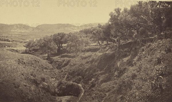 Kaleppa view of countryside; William J. Stillman, American, 1828 - 1901, 1860s; Albumen silver print