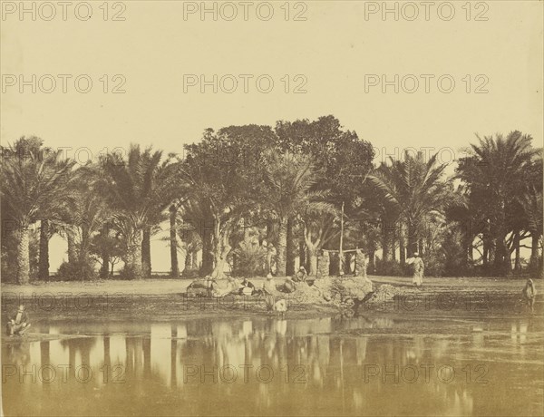 Bords du Nil; Attributed to Baron Paul des Granges, French ?, active Greece 1860s, 1860 - 1869; Albumen silver print