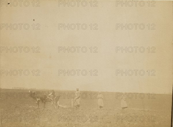 Man plowing; about 1860 - 1880; Tinted Albumen silver print