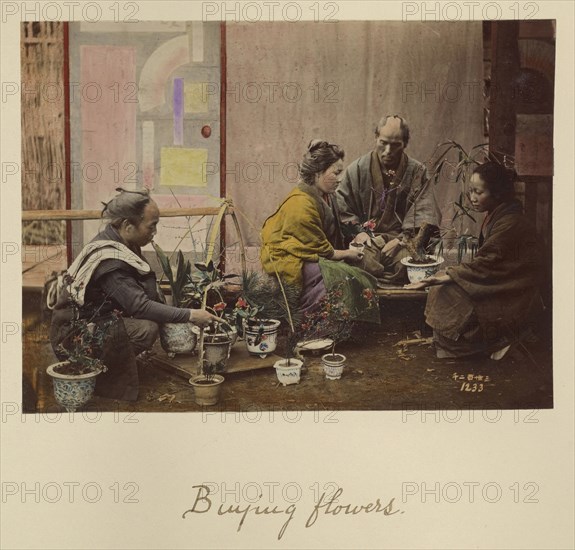 Buying Flowers; Shinichi Suzuki, Japanese, 1835 - 1919, Japan; about 1873 - 1883; Hand-colored Albumen silver print