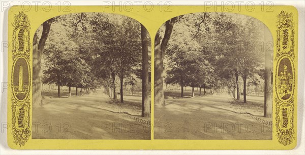 Boston Common; American; about 1870 - 1880; Albumen silver print