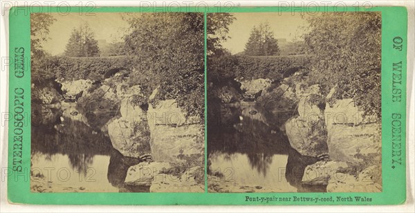 Pont-y-pair near Bettws-y-coed, North Wales; British; about 1865; Albumen silver print