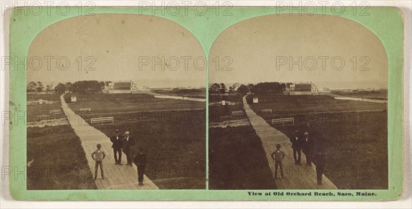 View at Old Orchard Beach, Saco, Maine; B.F. Cole, American, active 1860s, 1860s; Albumen silver print