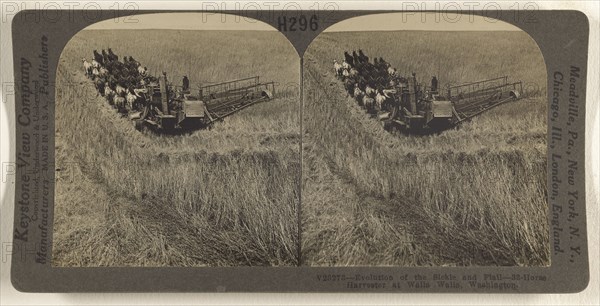 Evolution of the Sickle and Flail - 33-horse Harvester at Walla Walla, Washington; Underwood & Underwood, American, 1881 - 1940s