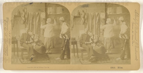 Bliss; Franklin G. Weller, American, 1833 - 1877, 1888; Albumen silver print