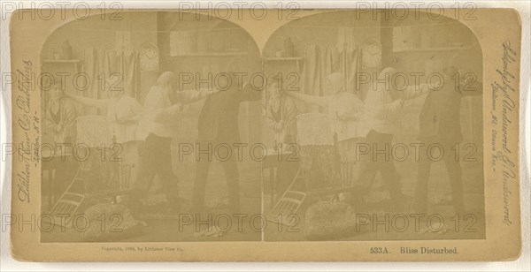 Bliss Disturbed; Franklin G. Weller, American, 1833 - 1877, 1888; Albumen silver print