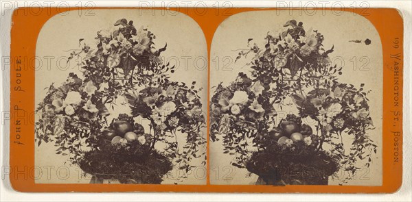 Basket of fruit and flower arrangement; John P. Soule, American, 1827 - 1904, about 1870; Albumen silver print