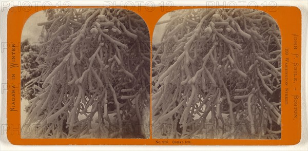 Coral Ice; John P. Soule, American, 1827 - 1904, about 1865; Albumen silver print