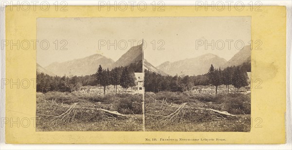 Franconia Notch - near Lafayette House; John P. Soule, American, 1827 - 1904, 1861 - 1862; Albumen silver print