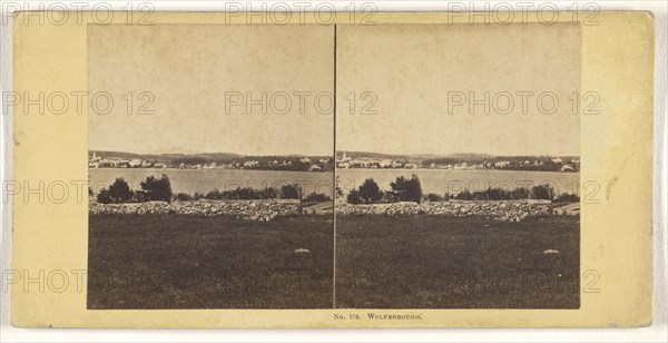 Wolfborough; John P. Soule, American, 1827 - 1904, 1861 - 1862; Albumen silver print