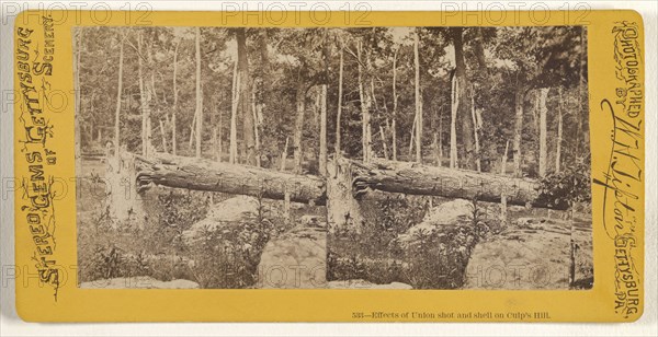 Effects of Union shot and shell on Culp's Hill; William H. Tipton, American, 1850 - 1929, active Gettysburg, Pennsylvania