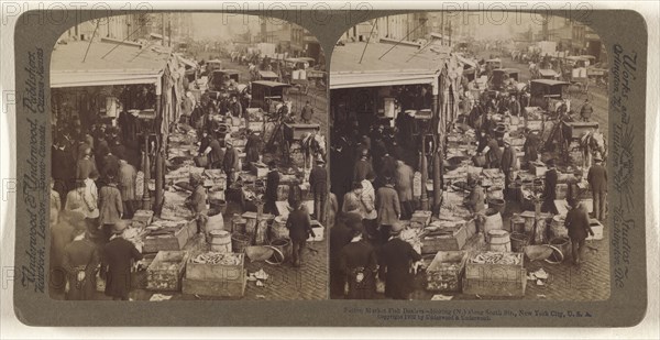 Fulton Fish Market Dealers - looking, N., along South Str., New York City, U.S.A; Underwood & Underwood, American, 1881 - 1940s
