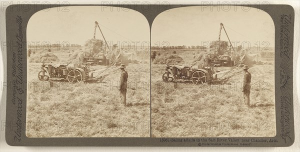 Baling alfalfa in the Salt River Valley near Chandler, Ariz; Underwood & Underwood, American, 1881 - 1940s, about 1902; Gelatin