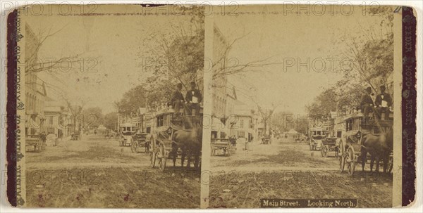 Main Street. Looking North. Albany, New York; Aaron Veeder, American, active Albany, New York 1870s - 1880s, 1875 - 1885