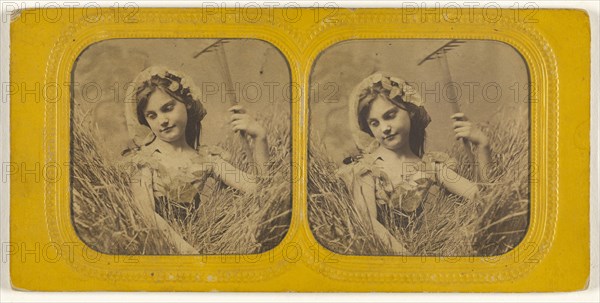 Little girl in field of hay holding a rake; 1855 - 1860; Hand-colored Albumen silver print