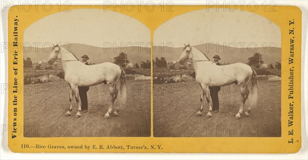 Rice Graves, owned by E.R. Abbott, Turner's, N.Y; L. E. Walker, American, 1826 - 1916, active Warsaw, New York, about 1870