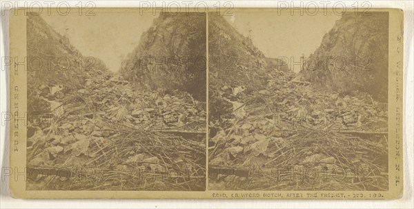 Road, Crawford Notch, After the Freshet; Franklin G. Weller, American, 1833 - 1877, about 1870; Albumen silver print