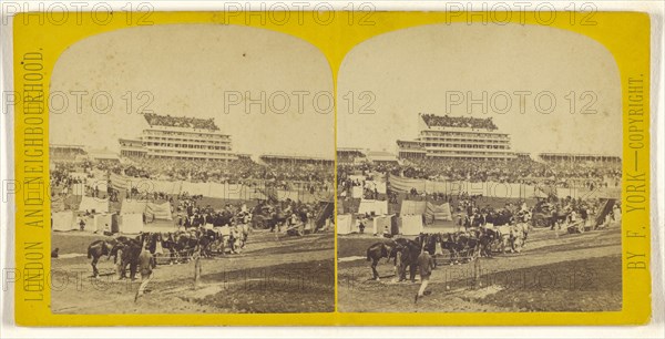 Epsom Downs on Derby Day; Frederick York, British, 1823 - 1903, 1865 - 1875; Albumen silver print