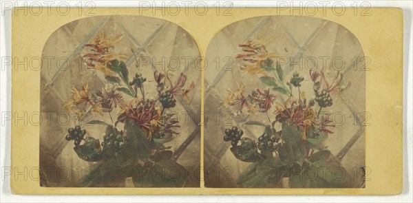 Flower arrangement; about 1865; Hand-colored Albumen silver print