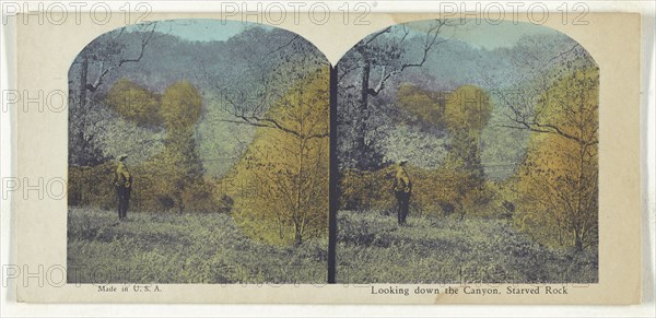 Looking down the Canyon, Starved Rock; American; about 1900; Color Photomechanical