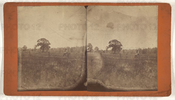 Meadow of Old Farm; about 1890; Albumen silver print