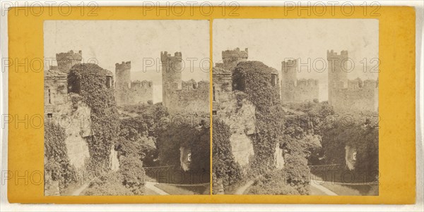 View at Conway, North Wales; British; about 1860; Albumen silver print