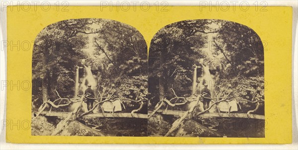 Waterfall in Bolton Woods; British; about 1860; Albumen silver print