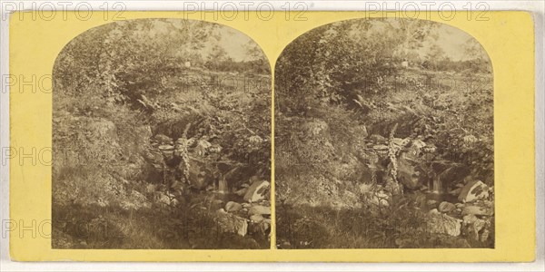 Near Wansfell Pike; British; about 1860; Albumen silver print