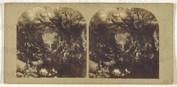 Bridge on the Machno, North Wales; British; about 1865; Albumen silver print