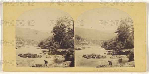 At Llantisilio, North Wales; British; about 1865; Albumen silver print