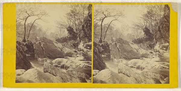 On the Stock Ghyll Stream. Ambleside; British; about 1865; Albumen silver print