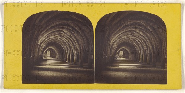 Cloisters. Fountains' Abbey; British; about 1865; Albumen silver print