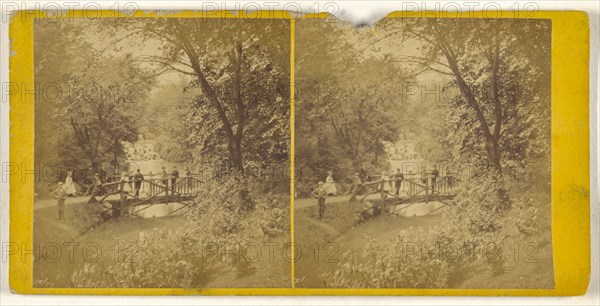 Group of people standing on footbridge over river; British; about 1865; Albumen silver print