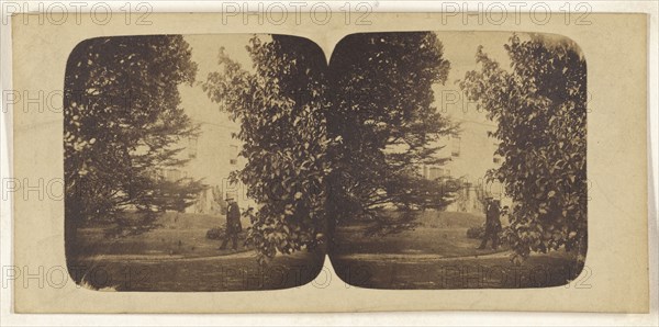 R. Charlestons; British; about 1860; Albumen silver print