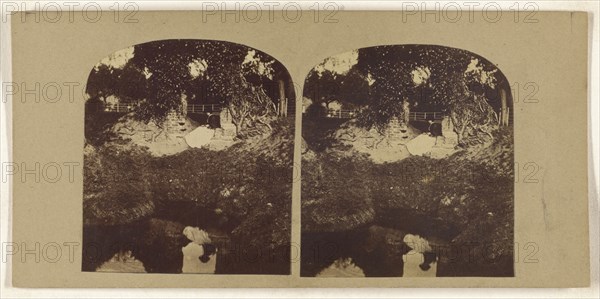 Woman seated on ground overlooking a brook, her reflection seen in the brook; British; about 1860; Albumen silver print