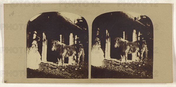 Woman and pony near stable; British; about 1860; Albumen silver print