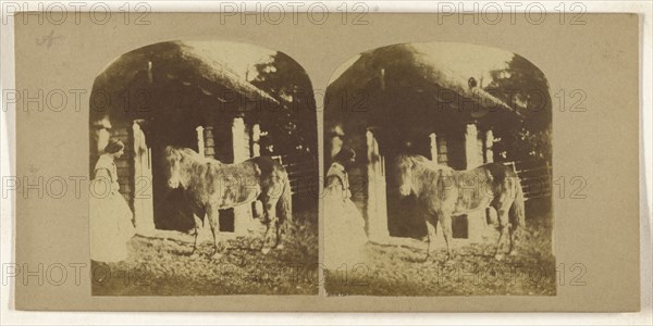 Woman and pony near stable; British; about 1860; Albumen silver print