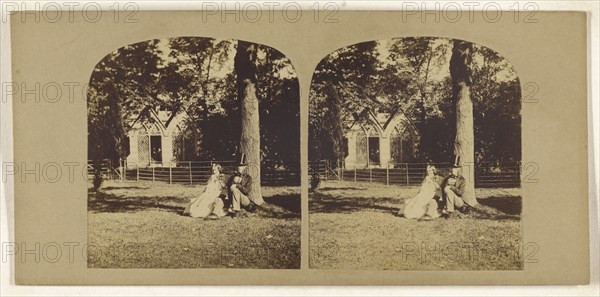 Man with top hat seated with a woman on lawn under a tree; British; about 1860; Albumen silver print