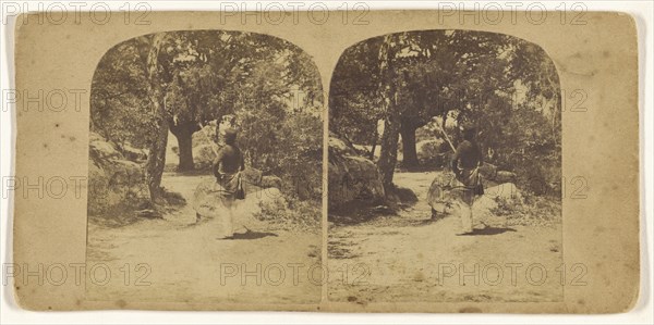 Foret de Fontainebleau, Le Chasseur; French; about 1865; Albumen silver print