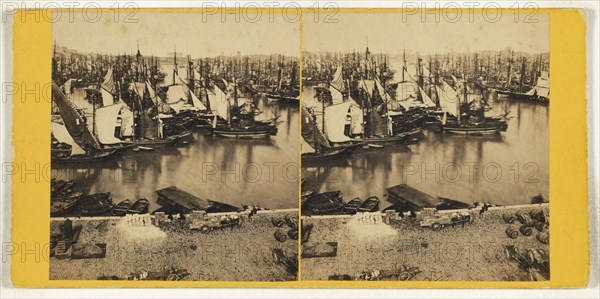 Vieux Bassin, Marseille, Attributed to Colle & Vernane; about 1865; Albumen silver print