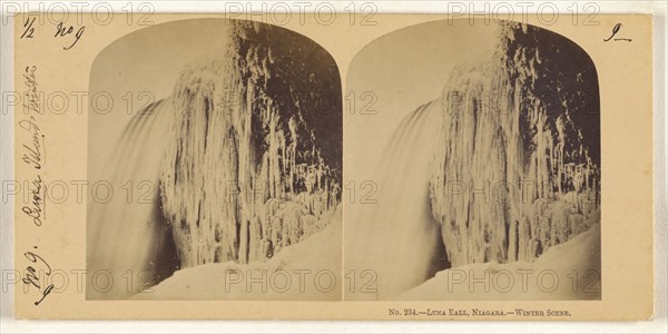 Luna Fall, Niagara. Winter Scene; Canadian; about 1863; Albumen silver print