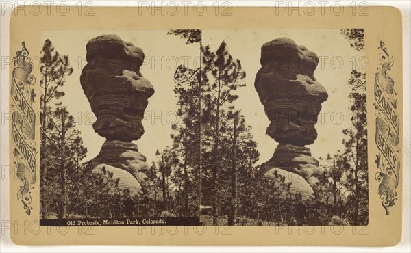 Old Probosis, Manitou Park, Colorado; American; about 1871; Albumen silver print