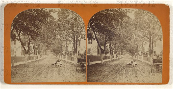 Worthen Street, Lowell, Mass; Simon Towle, American, active Lowell, Massachusetts 1855 - 1893, about 1874; Albumen silver print