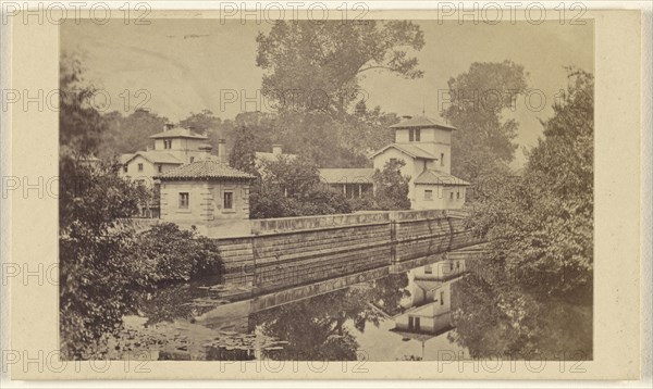 River Trent at Trentham, looking North; T. Kirby, British, active 1860s - 1870s, 1865 - 1870; Albumen silver print