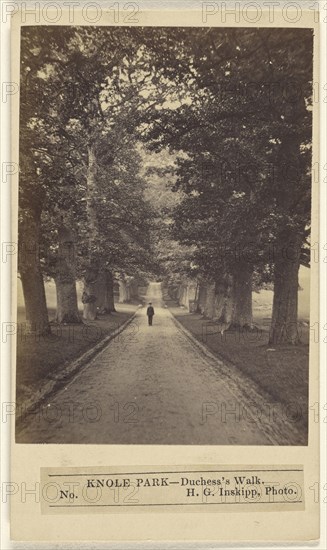 Knole Park - Duchess's Walk; H.G. Inskipp, British, active London, England 1870s, 1864 - 1867; Albumen silver print