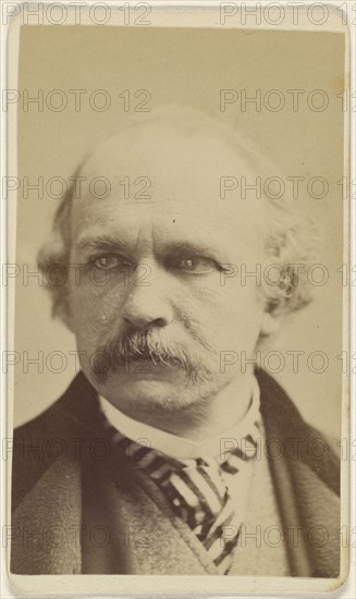 Felix Octavius Carr Darley, 1822 - 1888, Sarony & Co; 1875 - 1888 ...