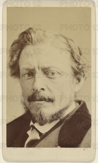 Samuel Colman; Sarony & Co; 1880 - 1885; Albumen silver print